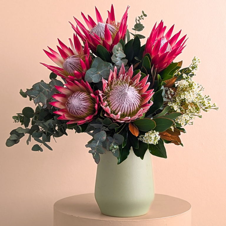 Protea flowers Pearsons Florist Sydney